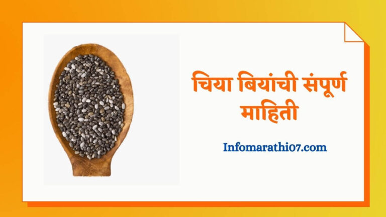 Chia seeds in marathi