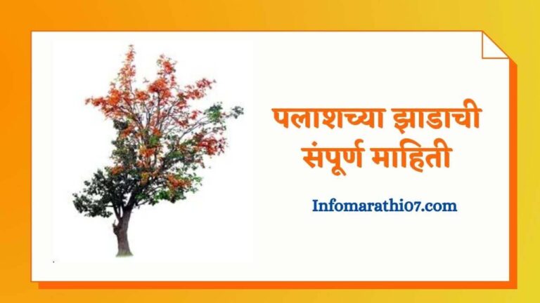 Palash tree information in Marathi