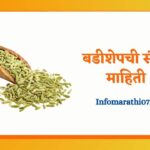 Fennel seeds in Marathi
