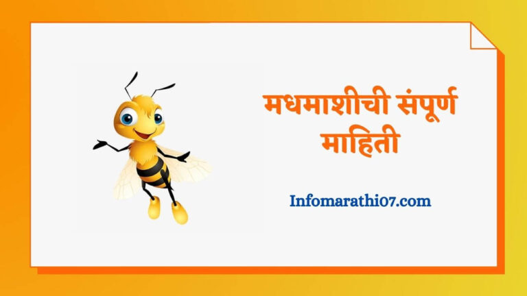 Honey Bee Information In Marathi