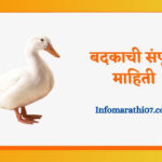 Duck information in Marathi