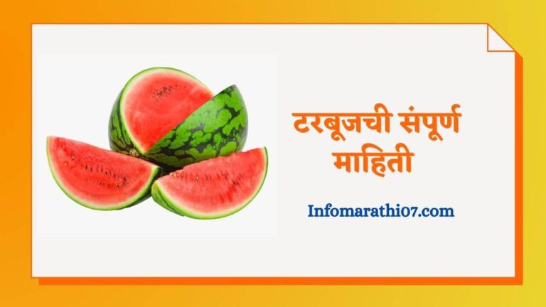 Watermelon Information In Marathi
