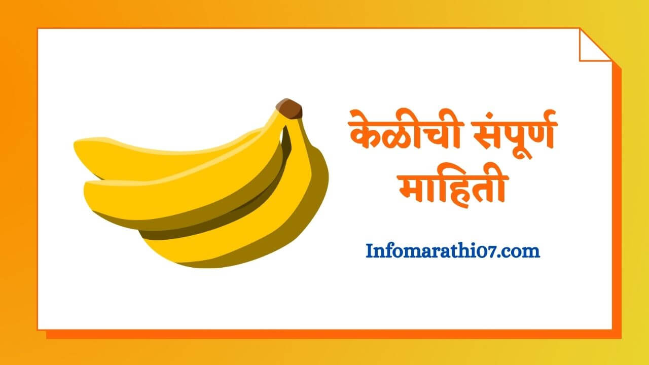Banana information in Marathi