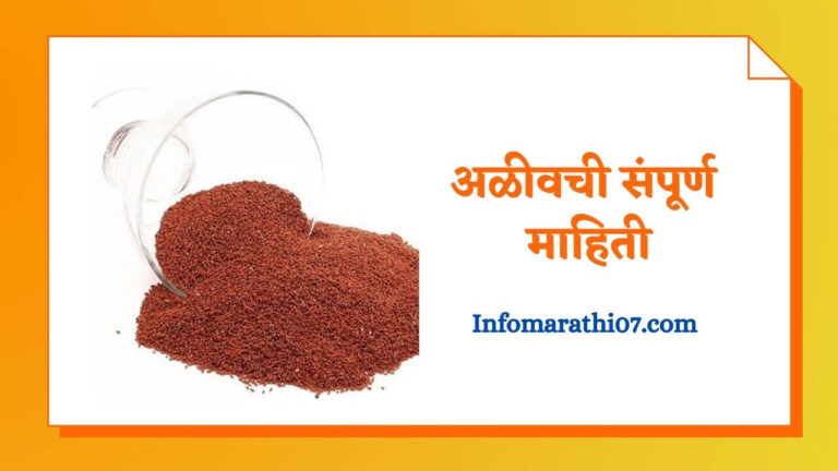 Aliv seeds in Marathi