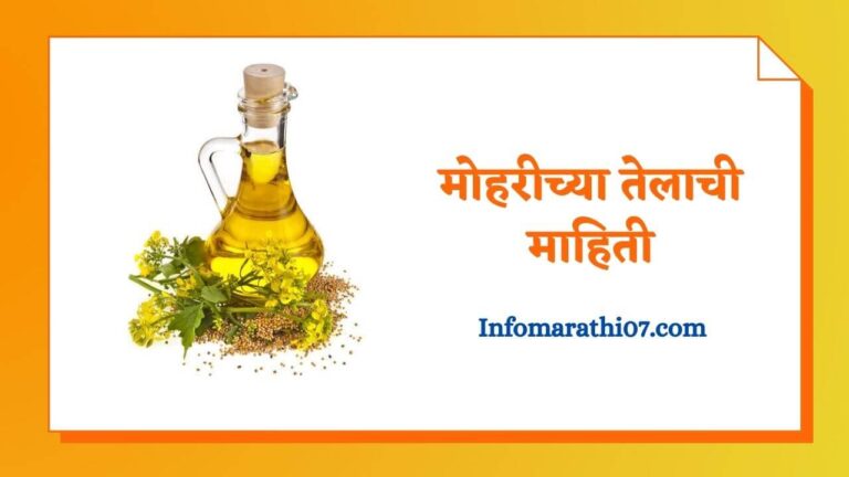 Mustard Oil in Marathi