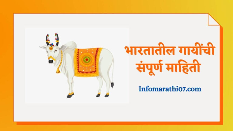 Indian cow information in Marathi
