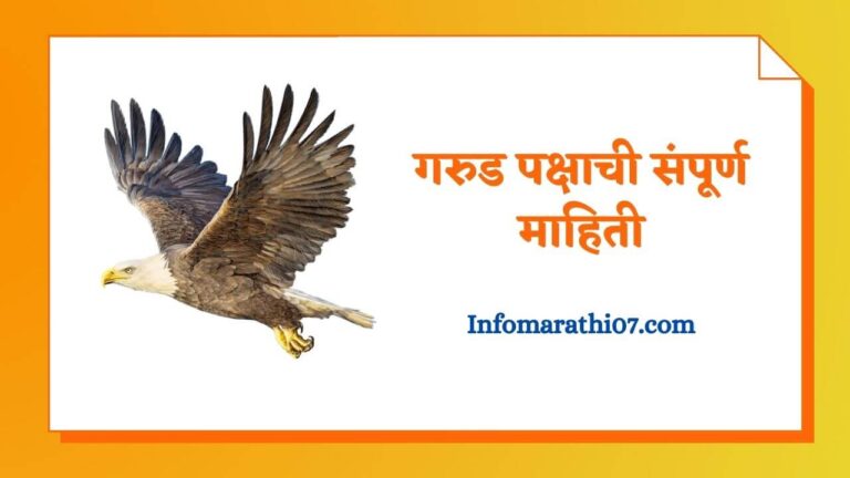 Garuda bird information in Marathi