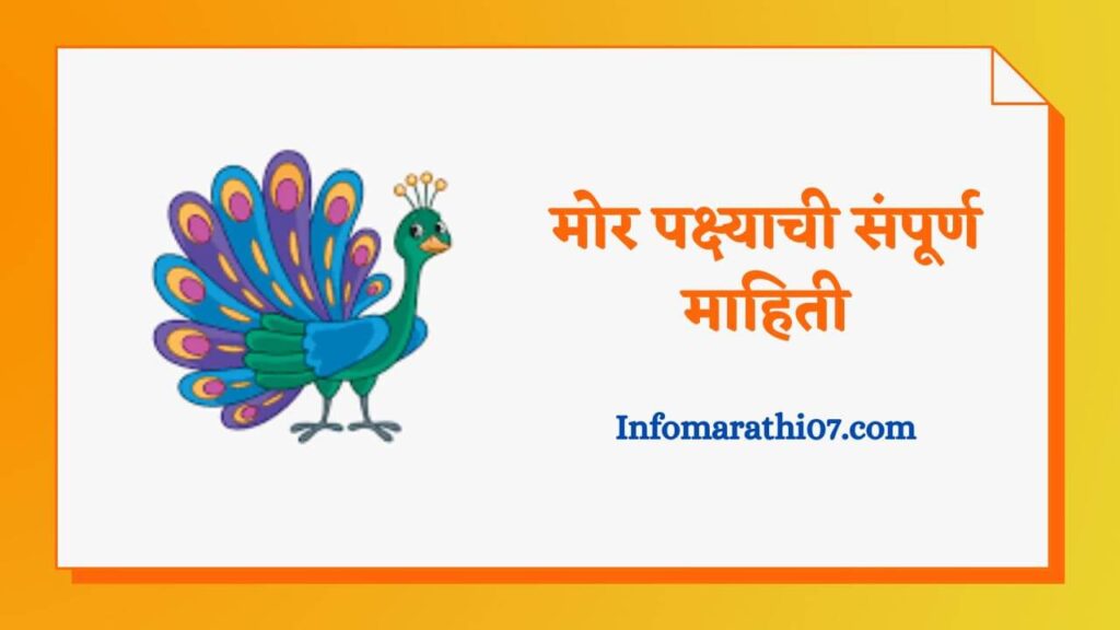 peacock-information-in-marathi-2023-to-boost-your-knowledge