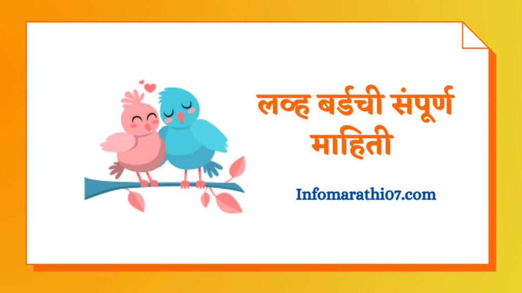 love-birds-information-in-marathi