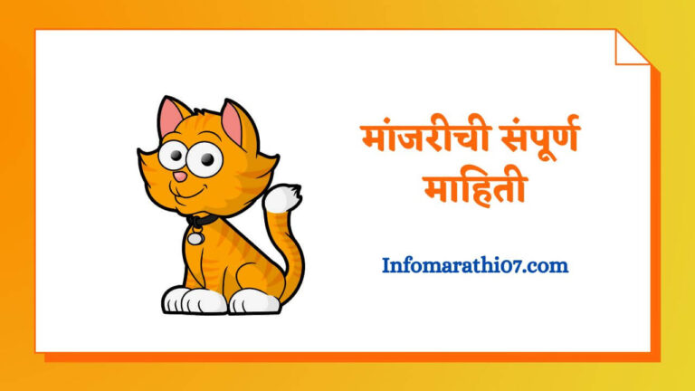 cat-information-in-marathi