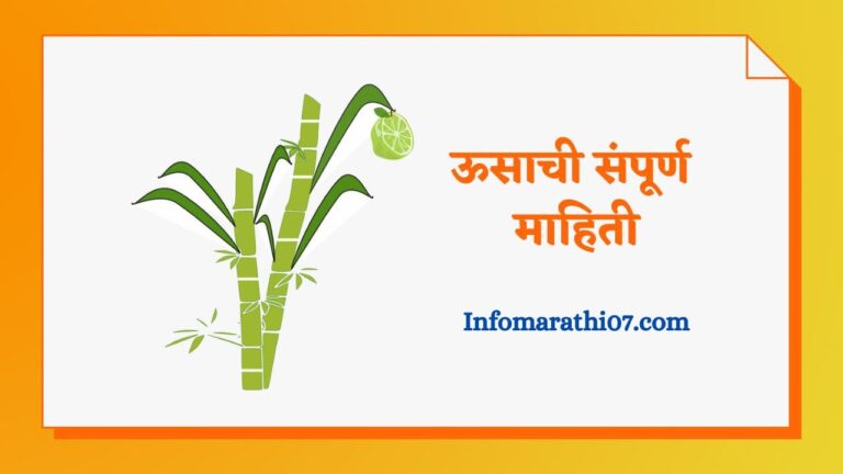 Sugarcane information in Marathi