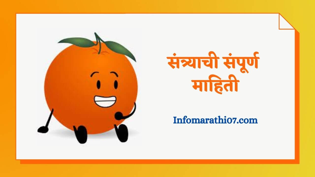 Orange fruit information in Marathi