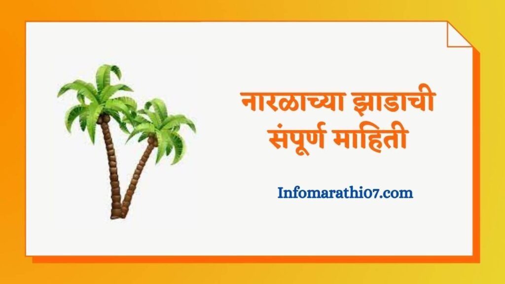 coconut-tree-information-in-marathi