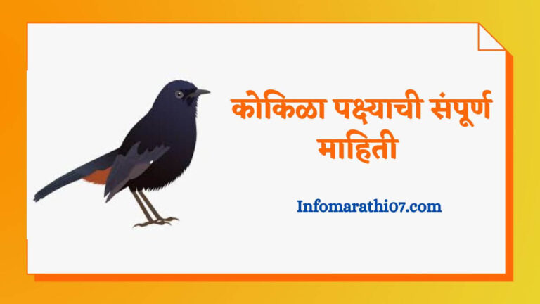 Kokila bird information in Marathi
