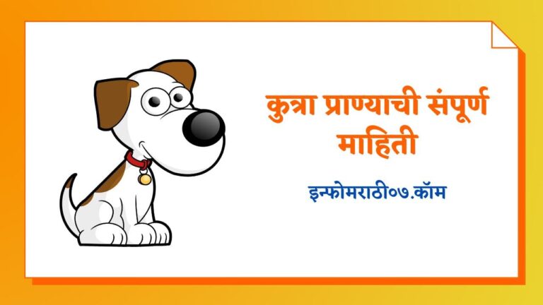 Dog Information in Marathi