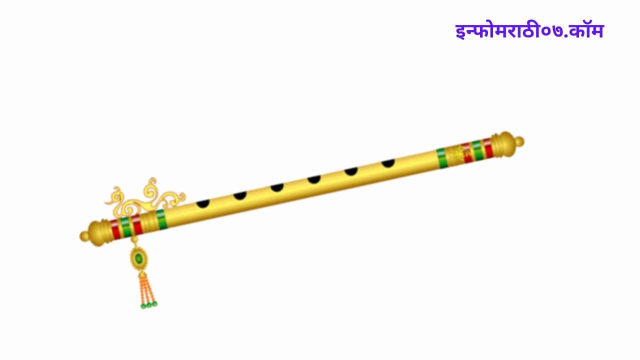 भारतीय वाद्यांची संपूर्ण माहिती Indian Musical Instruments Information