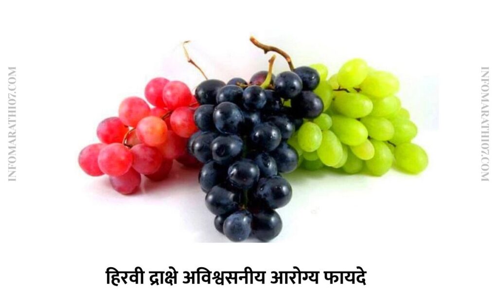हिरवी द्राक्षे अविश्वसनीय आरोग्य फायदे