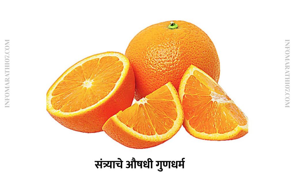 संत्र्याचे औषधी गुणधर्म