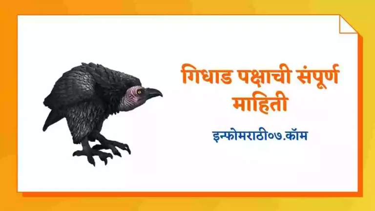 Vulture Information in Marathi