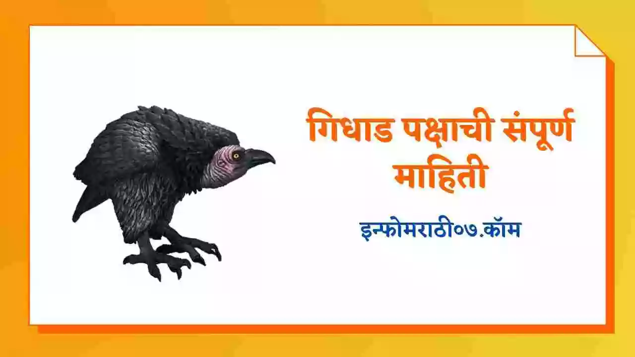 essay on vulture in marathi