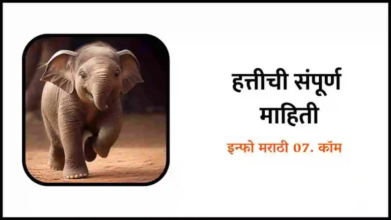 Elephant information in Marathi