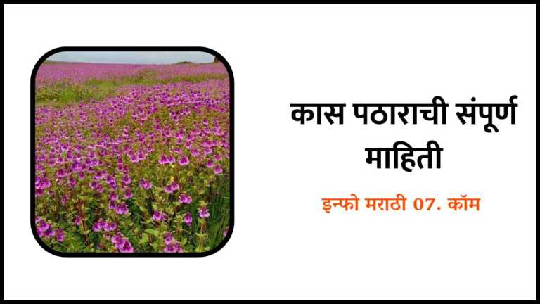 Kas Pathar information in Marathi