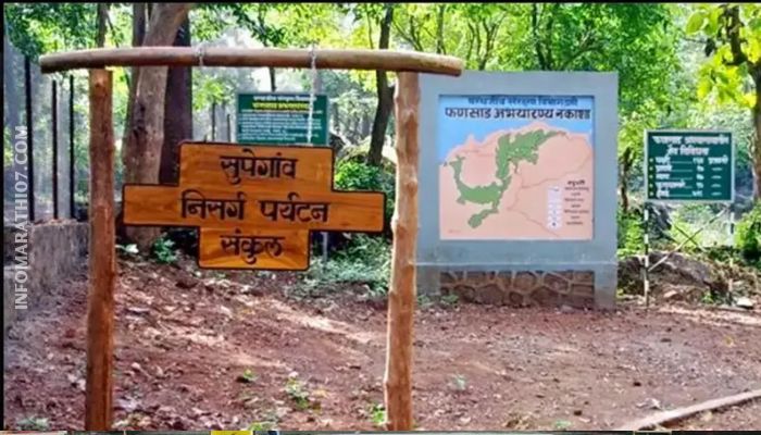 Maharashtra Abhayaranya Information in Marathi