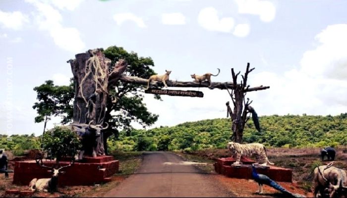 Maharashtra Abhayaranya Information in Marathi