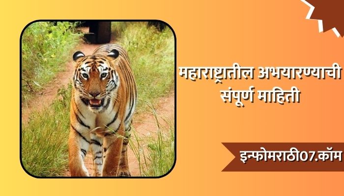 Maharashtra Abhayaranya Information in Marathi