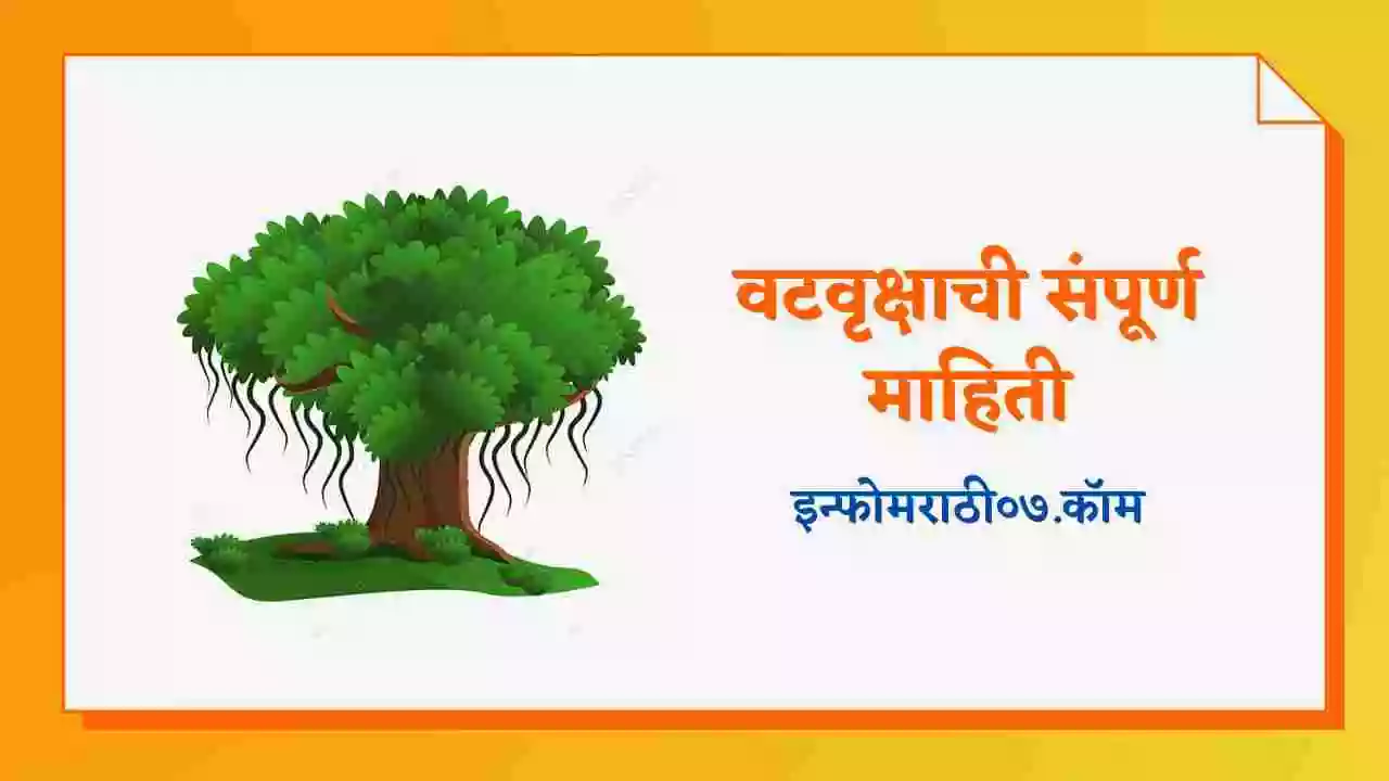 वटवृक्षाची संपूर्ण माहिती Banyan Tree Information in Marathi
