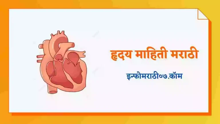 Heart Information In Marathi