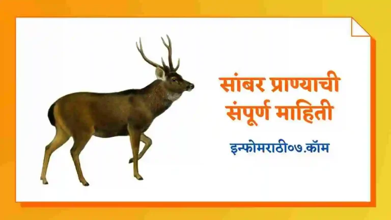Sambar Animal Information in Marathi