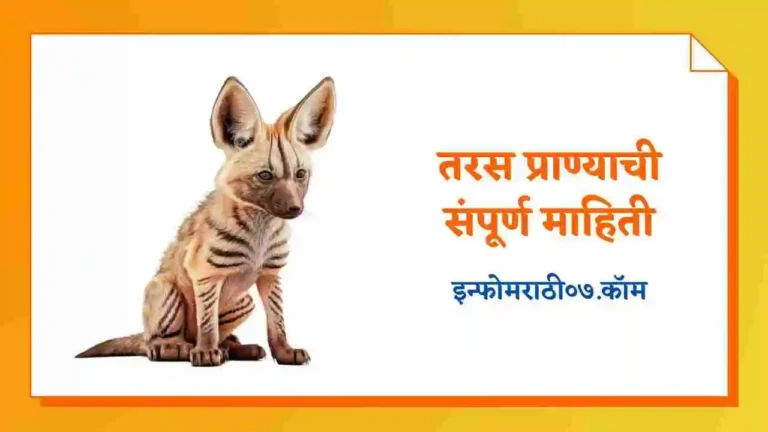 Taras (Aardwolf) Animal Information in Marathi