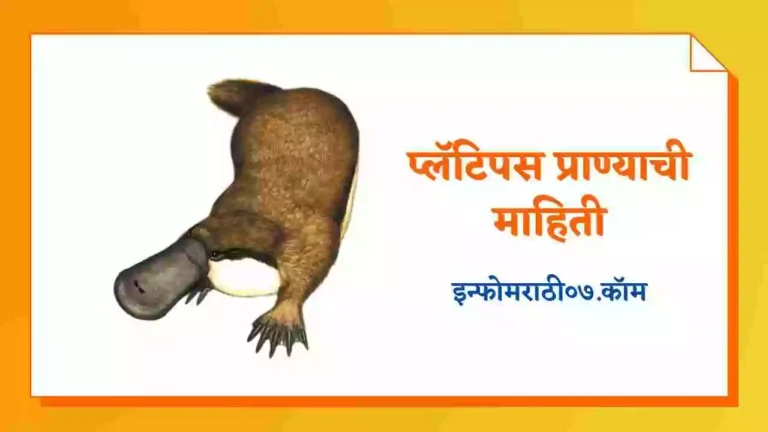 Platypus Animal Information in Marathi