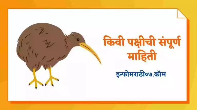 Kiwi Bird Information in Marathi