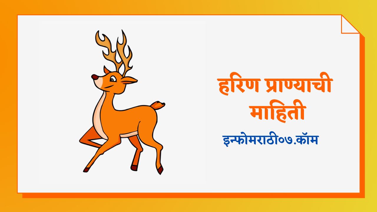 deer-information-in-marathi