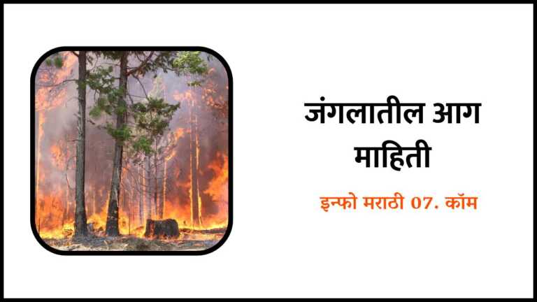 Forest Fire Information in Marathi