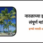 Coconut Tree Information In Marathi