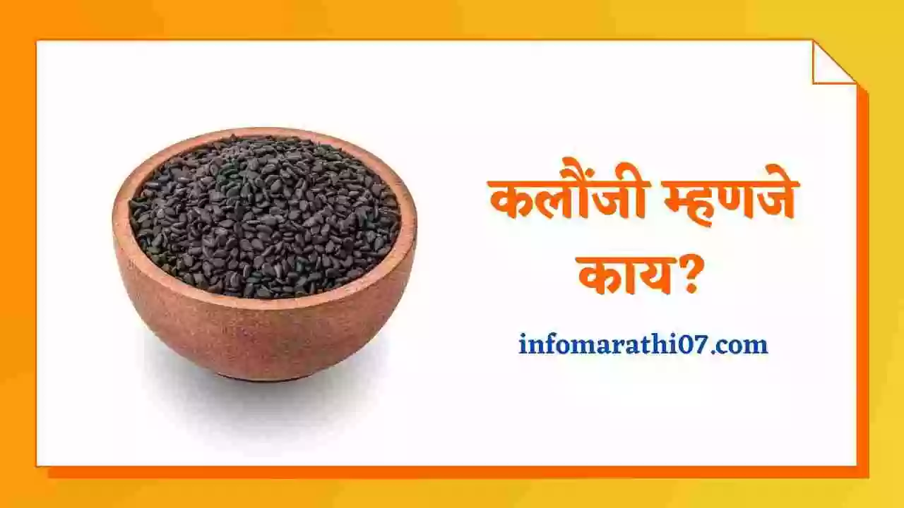 Kalonji In Marathi | कलौंजी म्हणजे काय?